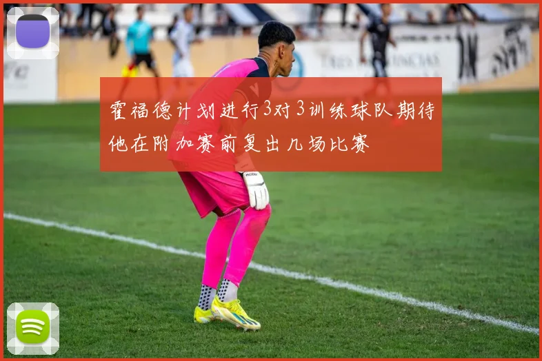 霍福德计划进行3对3训练球队期待他在附加赛前复出几场比赛