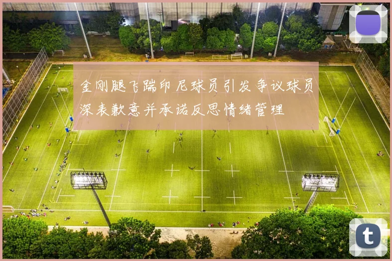 金刚腿飞踹印尼球员引发争议球员深表歉意并承诺反思情绪管理